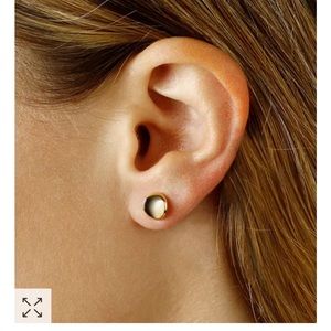 Curved disk 14k gold stud earrings